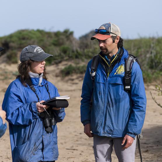 Environmental Sciences